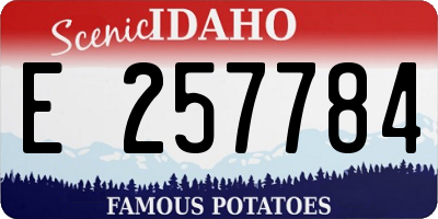 ID license plate E257784