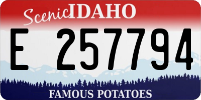 ID license plate E257794