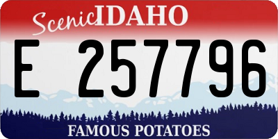 ID license plate E257796