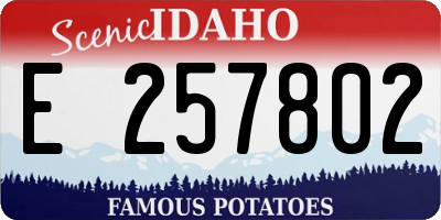 ID license plate E257802