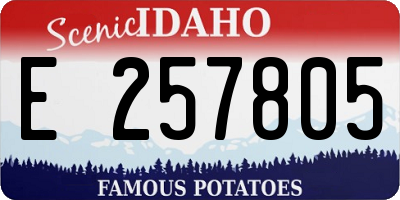 ID license plate E257805