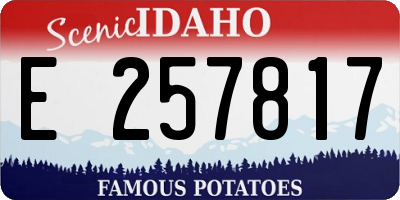 ID license plate E257817