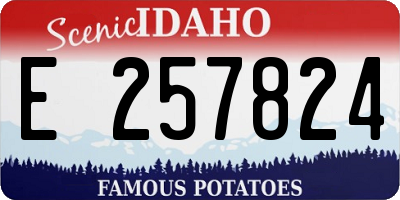 ID license plate E257824