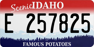 ID license plate E257825