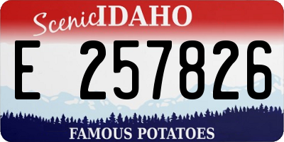 ID license plate E257826
