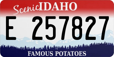 ID license plate E257827