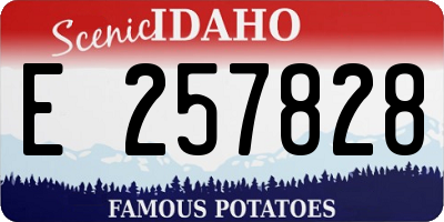 ID license plate E257828