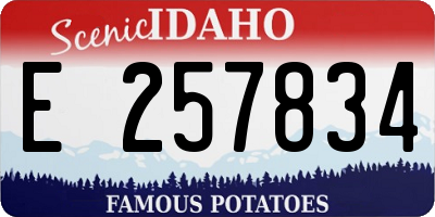 ID license plate E257834