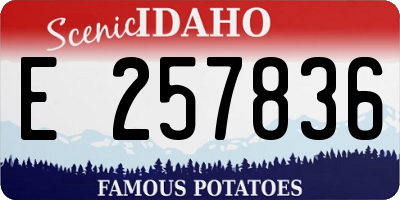 ID license plate E257836