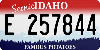 ID license plate E257844