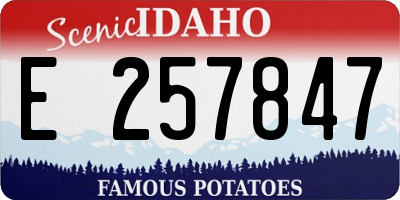 ID license plate E257847