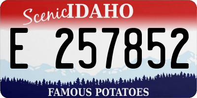 ID license plate E257852