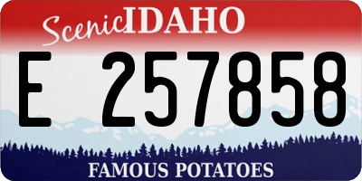 ID license plate E257858