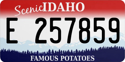 ID license plate E257859