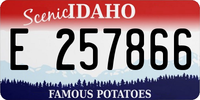 ID license plate E257866