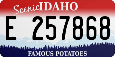 ID license plate E257868