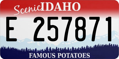 ID license plate E257871