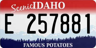 ID license plate E257881