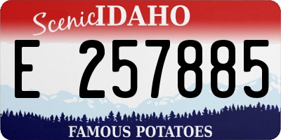 ID license plate E257885