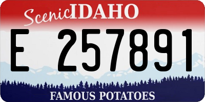 ID license plate E257891
