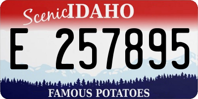 ID license plate E257895