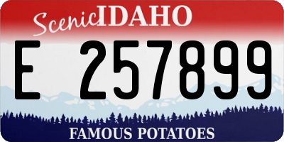ID license plate E257899