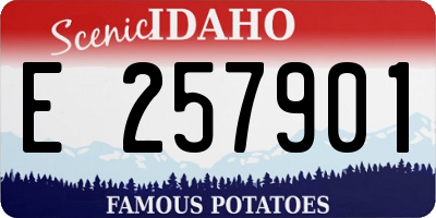 ID license plate E257901