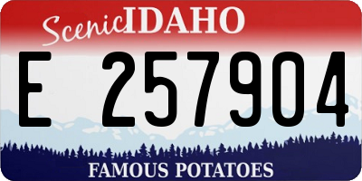 ID license plate E257904