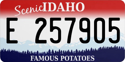 ID license plate E257905