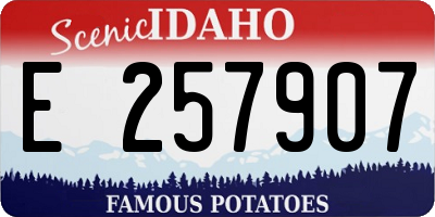 ID license plate E257907