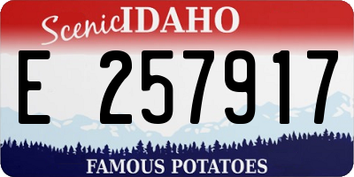 ID license plate E257917