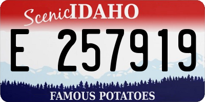 ID license plate E257919