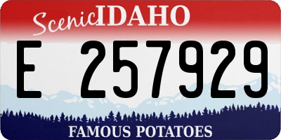 ID license plate E257929