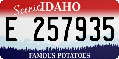 ID license plate E257935