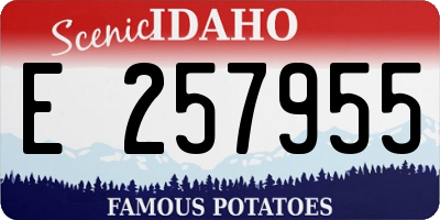 ID license plate E257955