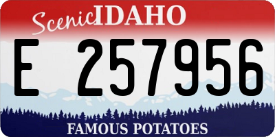 ID license plate E257956