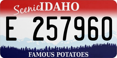 ID license plate E257960