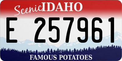 ID license plate E257961