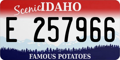 ID license plate E257966