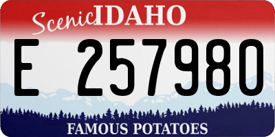 ID license plate E257980