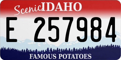 ID license plate E257984