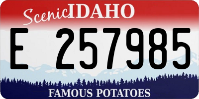 ID license plate E257985