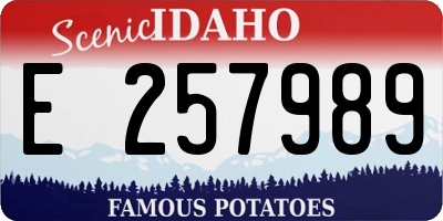 ID license plate E257989