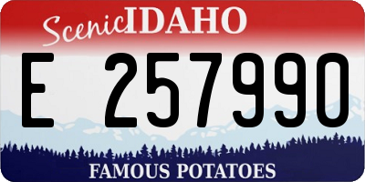 ID license plate E257990