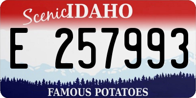 ID license plate E257993