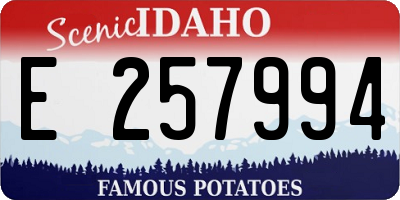 ID license plate E257994