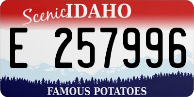 ID license plate E257996