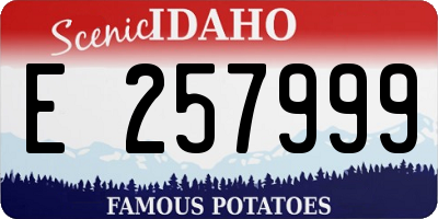 ID license plate E257999