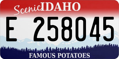 ID license plate E258045