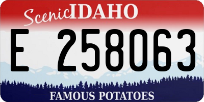 ID license plate E258063